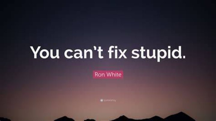 You Can't Fix Stupid Quote: A Comprehensive Exploration of Its Meaning, Origins, and Applications